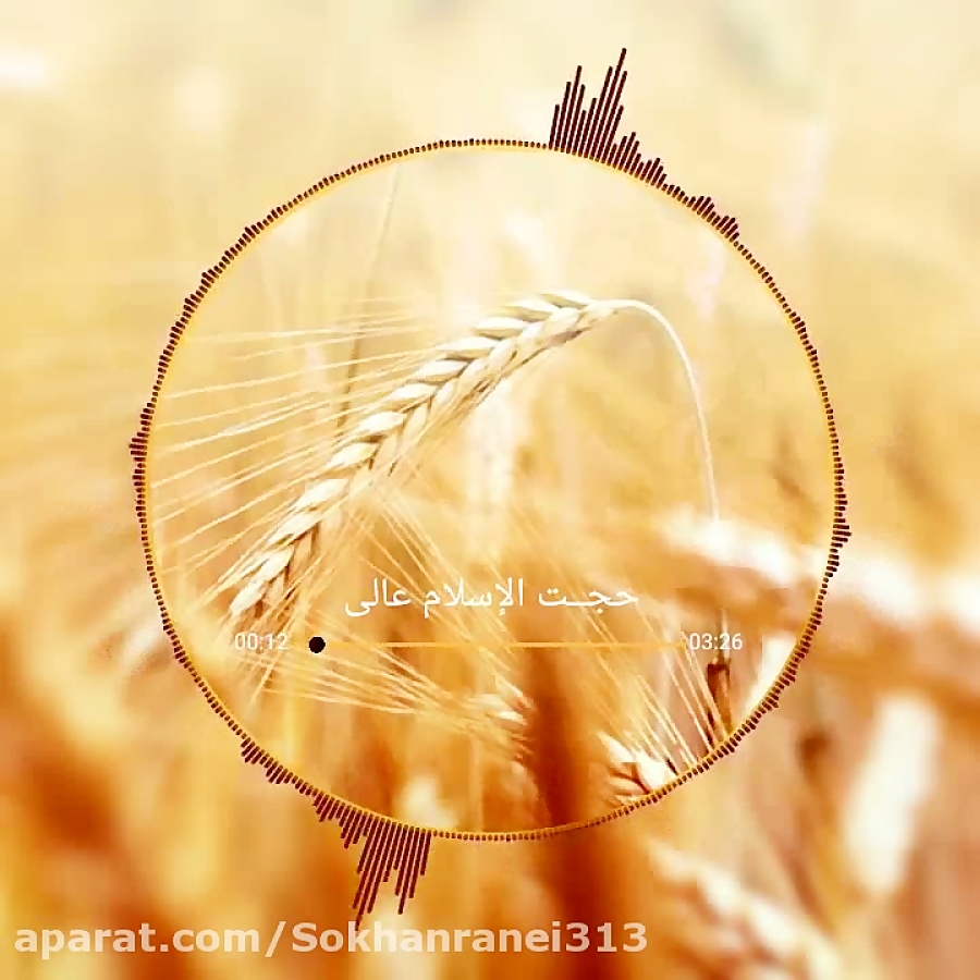 سخنرانی حجت الاسلام عالی(عرض ز...