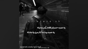پاشایی