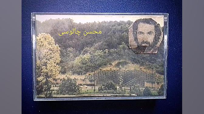 جنبش ، حبیب