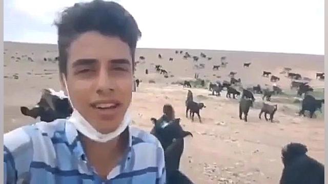 چه چه زدن میان بزها  عجب صفایی...