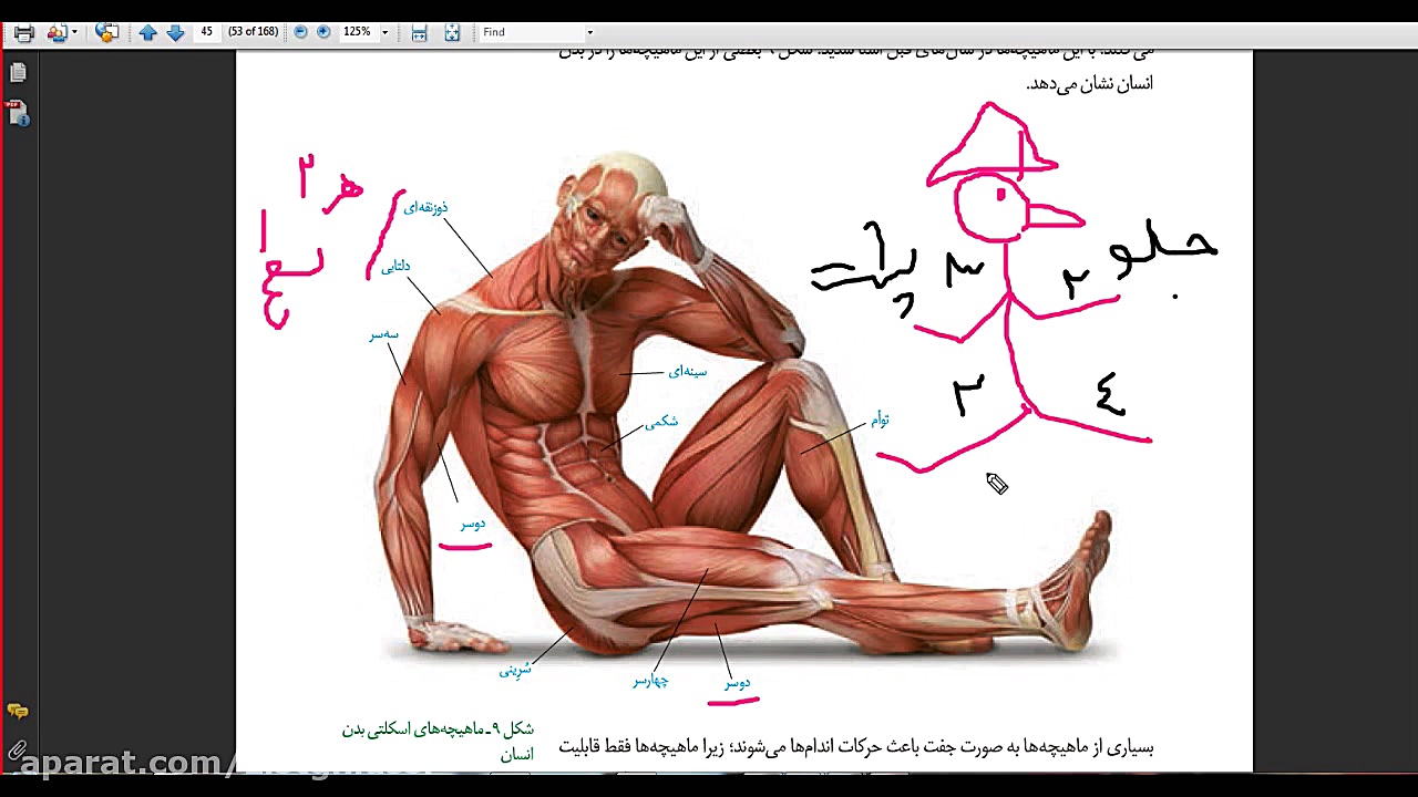  تدریس زیست بدون کرونا کلاس ان...