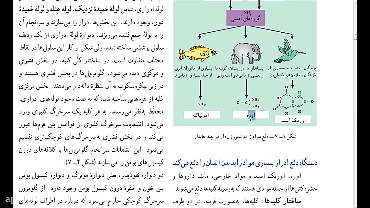  تدریس زیست بدون کرونا کلاس ان...