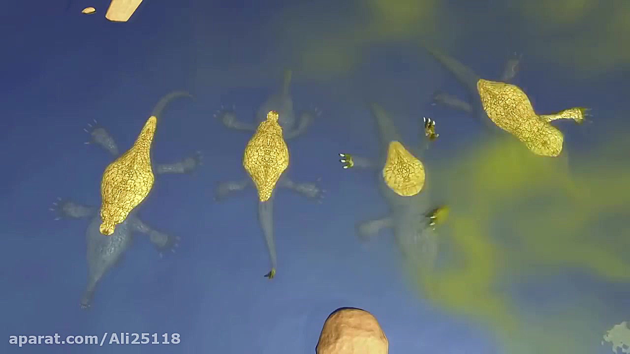 کارتون اسکار  قسمت 18