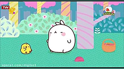 مولانگ  جنگل