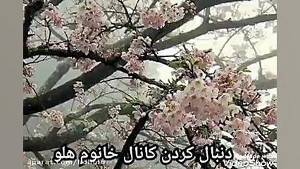 آهنگ نرو از راغب داری میری و ب...