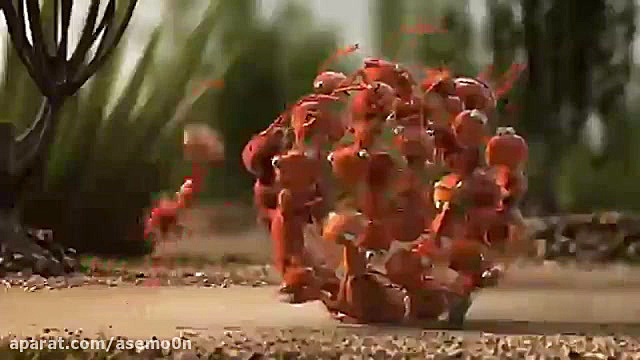 انیمیشن خنده دار کشتن مورچه خو...