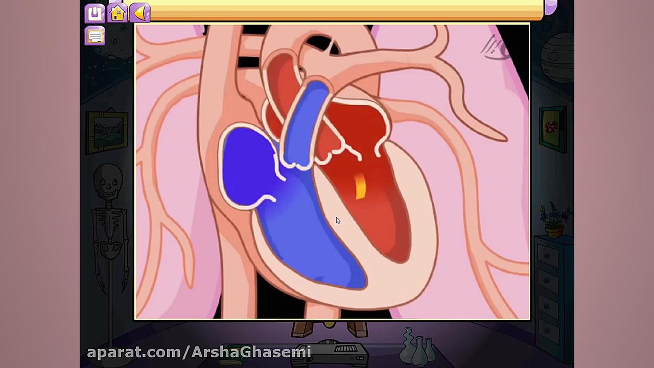 علوم فصل 10 قسمت 2