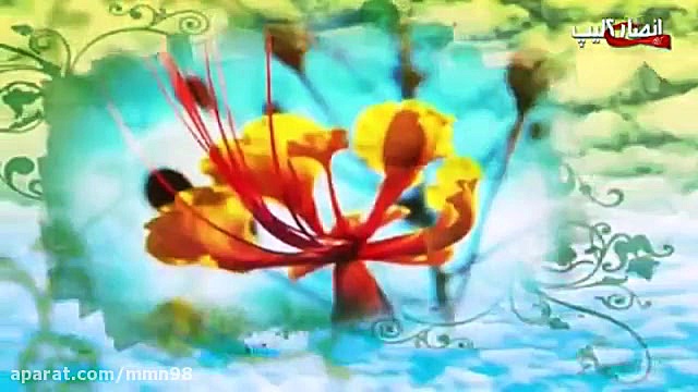 کلیپ مذهبی بعثت نور