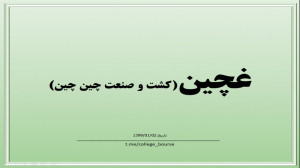 تحلیل سهم غچین