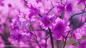 ویژه عید مبعث
