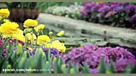 به خودت احترام بگذار