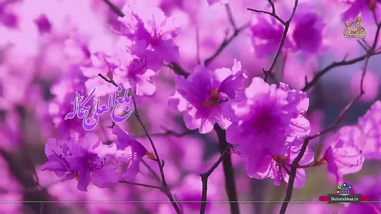 کلیپ زیبای تبریک مبعث پیامبر