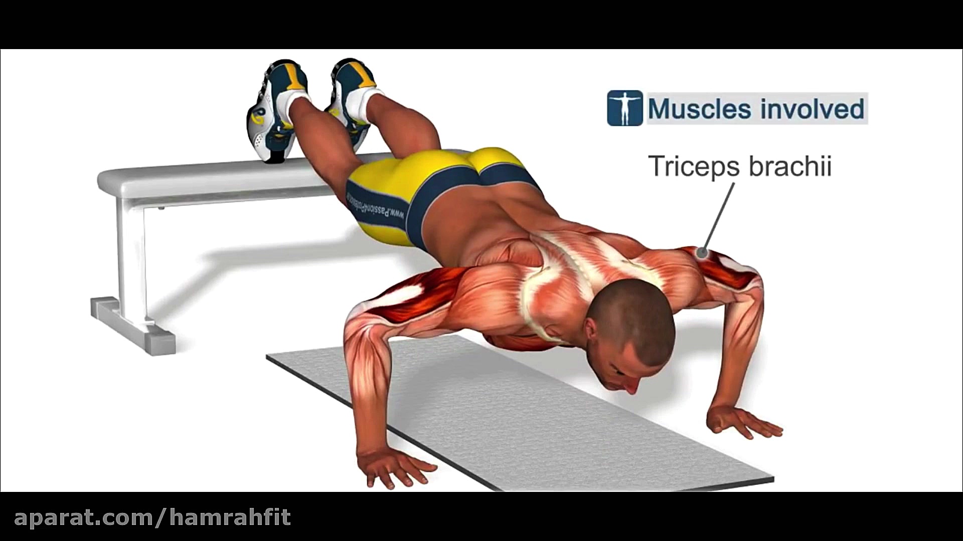 شنا سوئدی پا روی صندلی( تمرین...