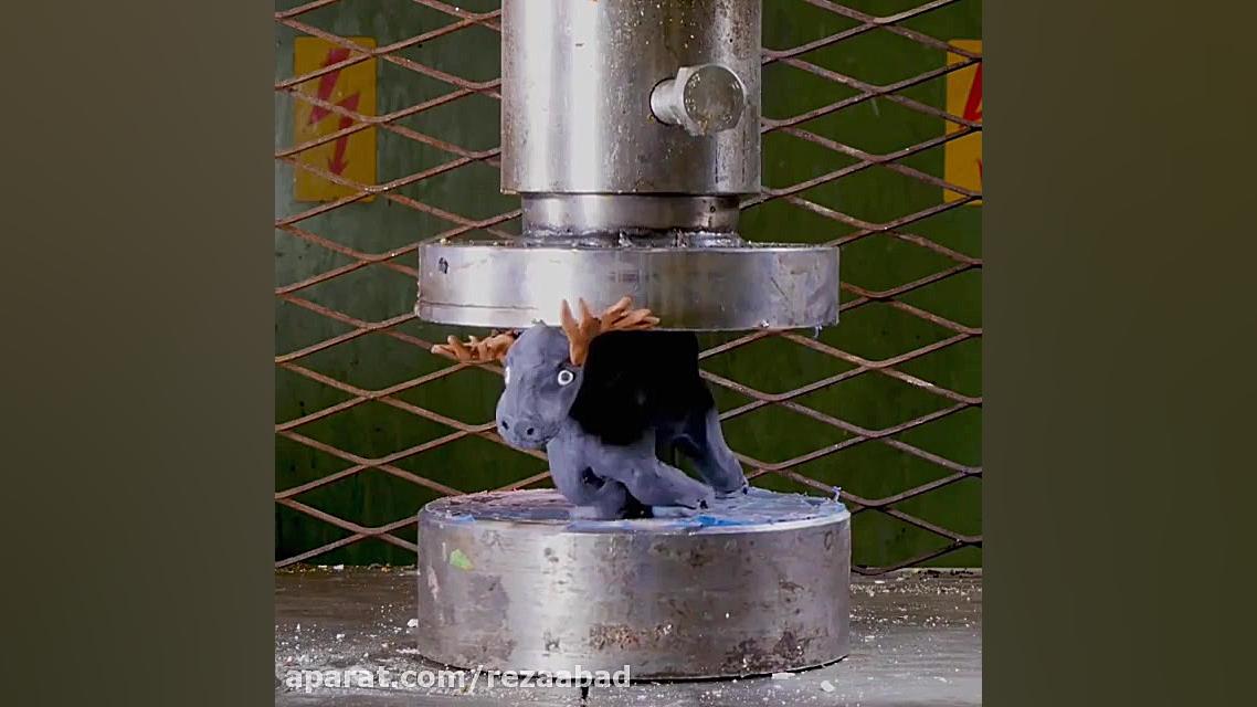 له کردن لاکپشت نینجا و خرس مهر...