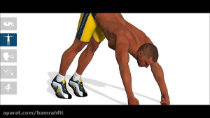 تمرین تقویت عضلات سینه و پشت ب...