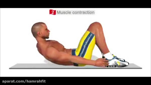 کرانچ پا به پا متناوب(تقویت عض...