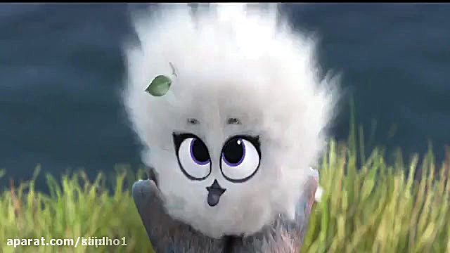 انیمیشن کوتاه