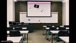 آناتومی مقطعی با دکتر حیدری مق...