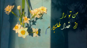 کلیپ کوتاه عاشقانه امام زمان ❤