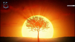 شرایط ظهور امام زمان فراهم شده...