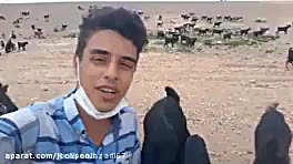 سروش رضایی چوپان خوش صدا
