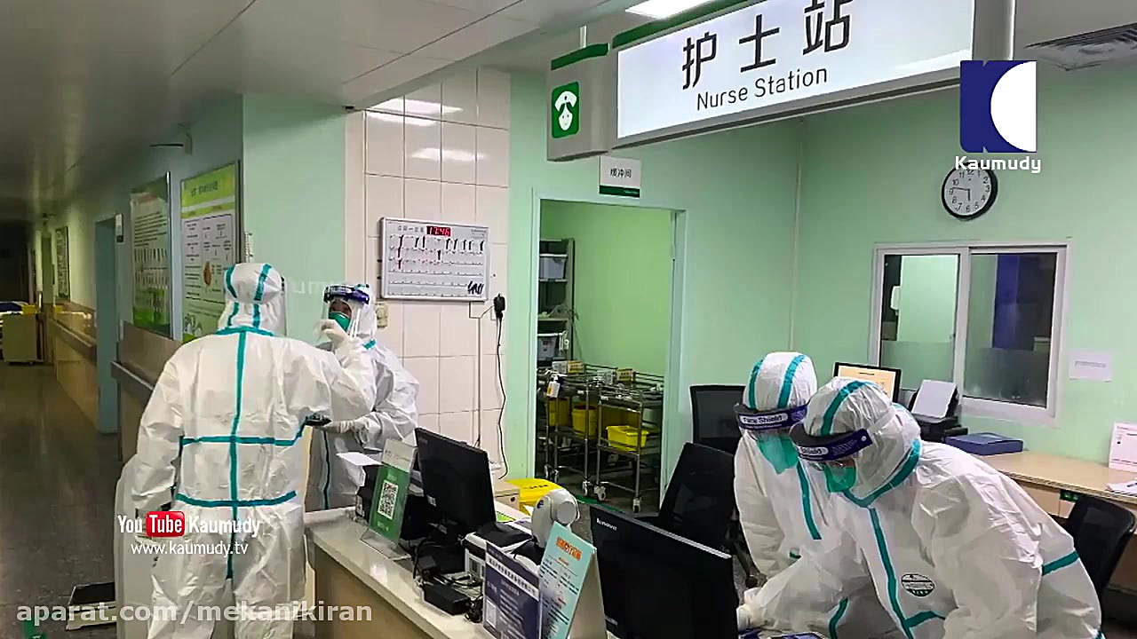 حیوانات خانگی مبتلا به کرونا د...