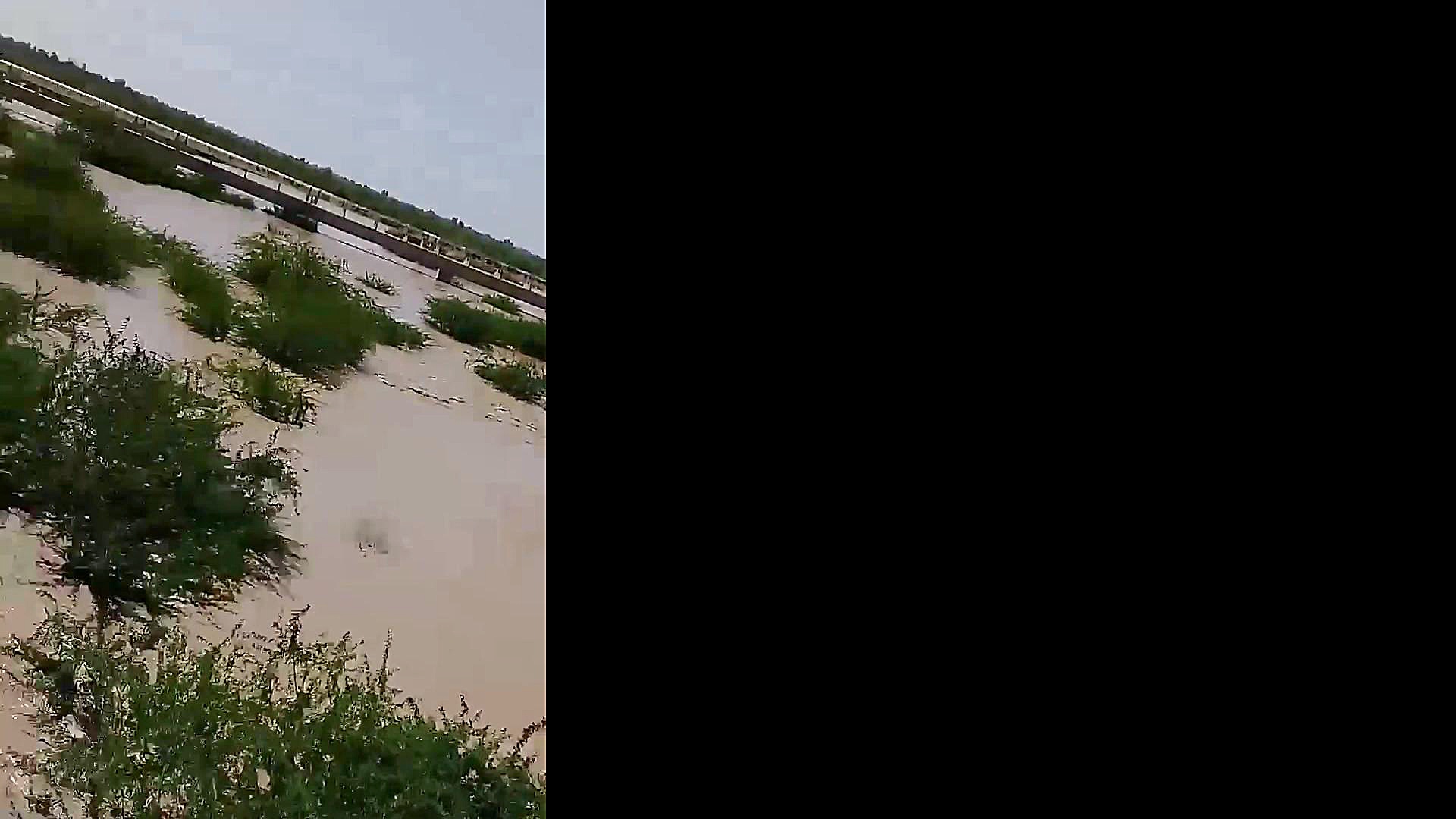 کارشناس حسنلنگی