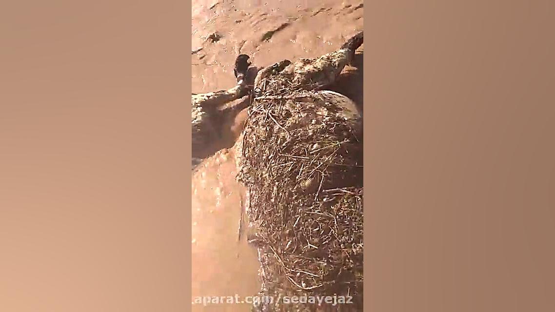 سیل در رودبارجنوب کرمان