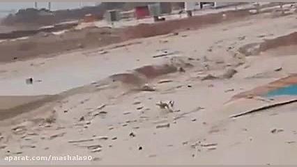 سیل وحشتناک در کنگان و عسلویه