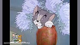 کارتون تام و جری تام و جری