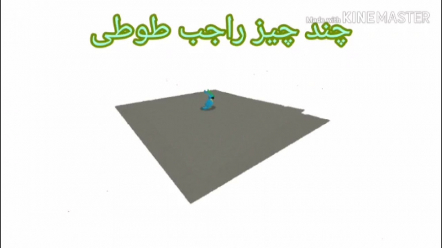 چند چیز جالب درباره ی طوطی ها...