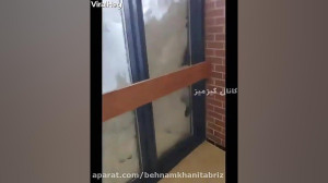 یکی از پر بازدید ترین ویدیوهای...