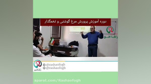 آموزش پرورش مرغ تخمگذار و مرغ...