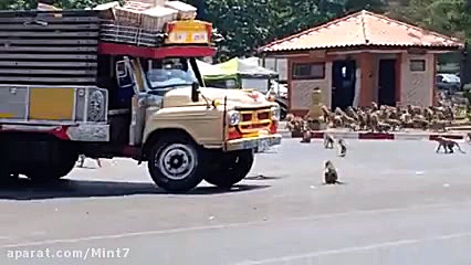 &rlm;در پی شیوع ویروس کرونا و...