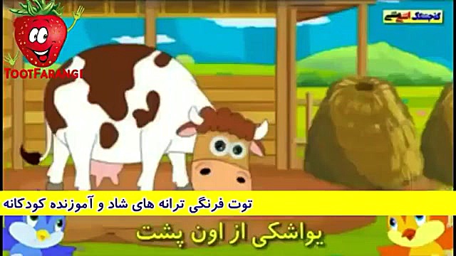 ترانه های توت فرنگی پیشی ملوس