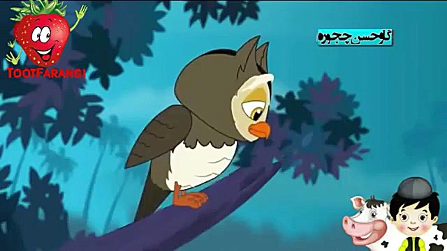 ترانه های توت فرنگی جغد بیدار