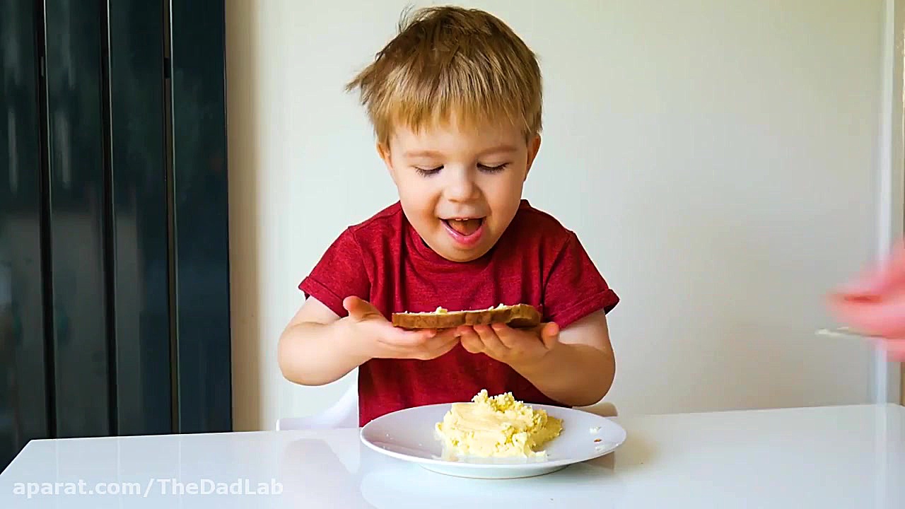 آزمایش 4: کره ی خانگی