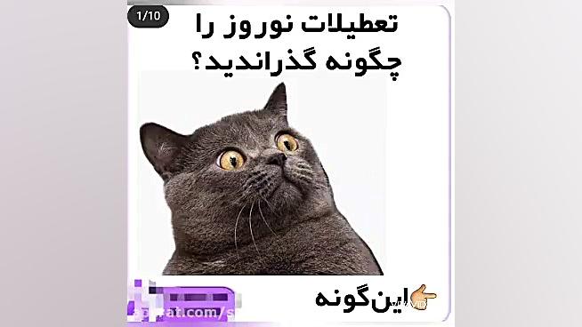 تعطیلات عید را چگونه گذراندید؟