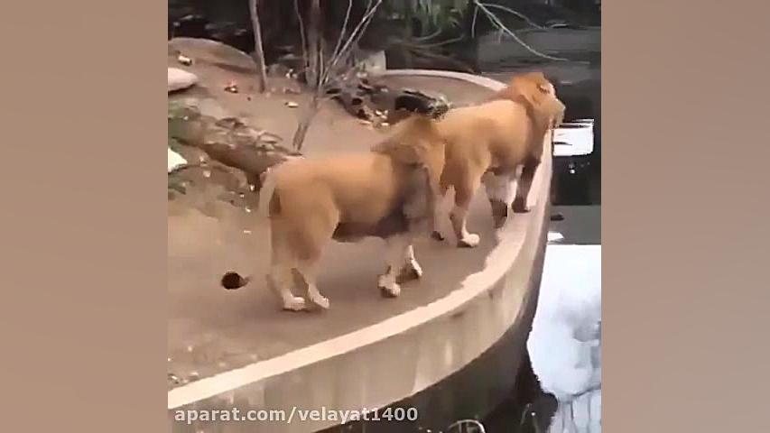 خدا هیچکسو اینجوری ضایع نکنه