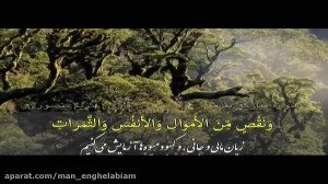 قرآن تلاوت سوره مبارکه بقره،قا...