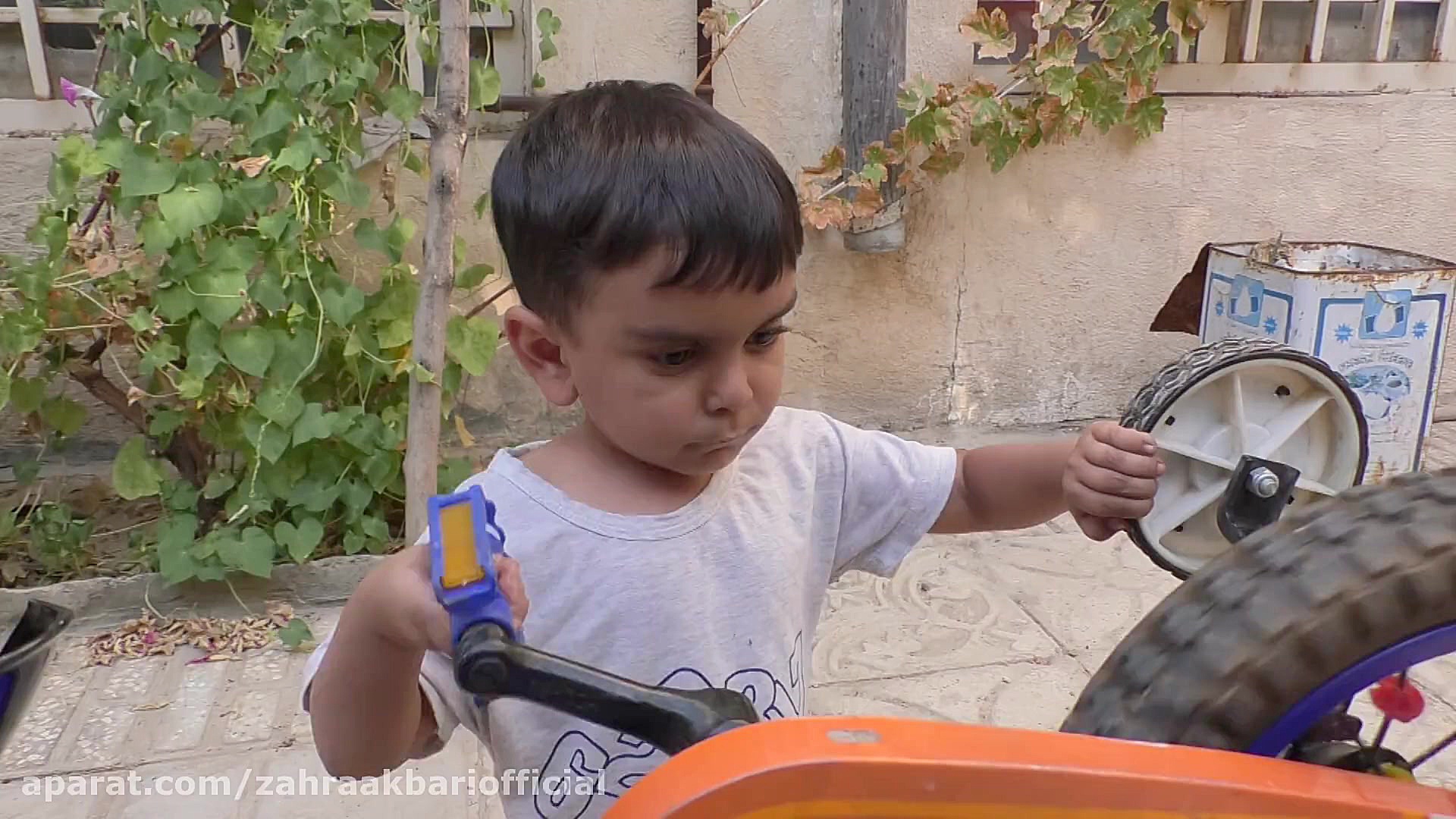 آزادی بی قید و شرط