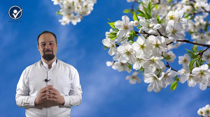 عادات معامله گری در سال جدید