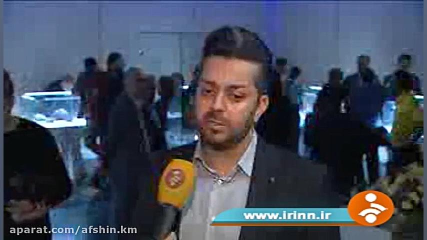 برخورد شهاب سنگ با زمین