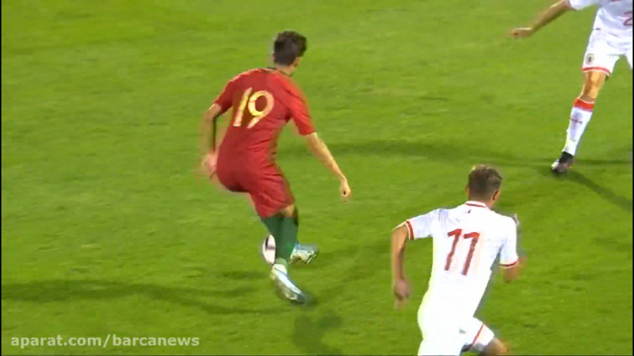 گل تماشایی ترینکائو به جبل طار...