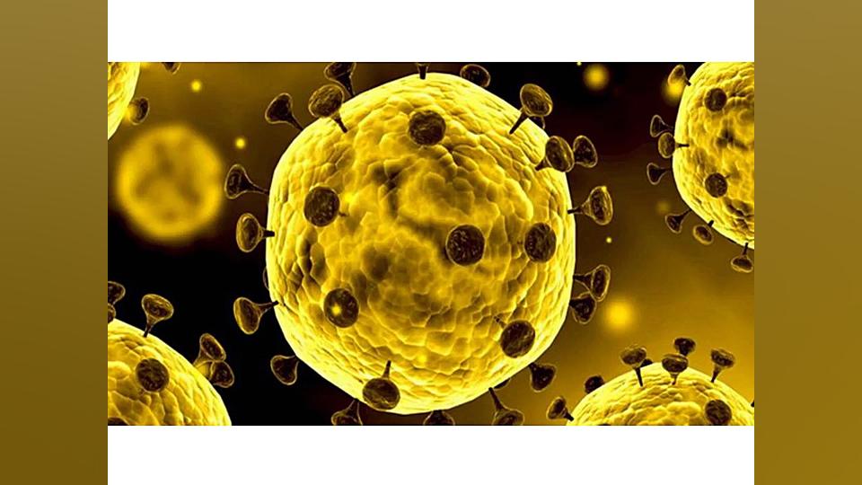 تولید واکسن کرونا   خبر فوری