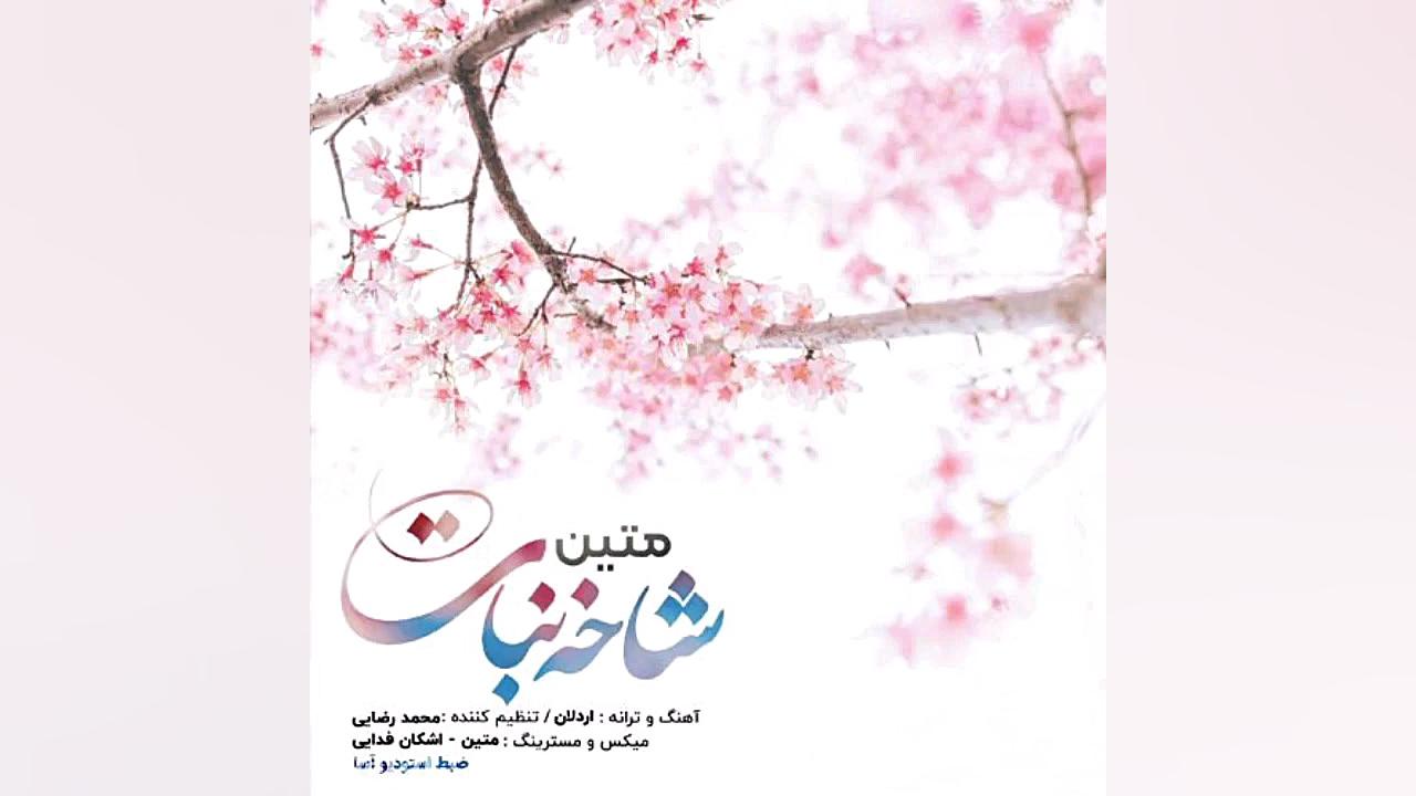 موزیک جدید متین به نام شاخه نب...