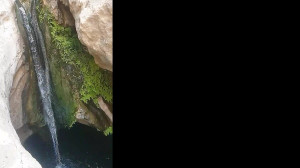 مولانا خوانی عبدالکریم سروش ۲