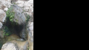 مولانا خوانی عبدالکریم سروش ۳