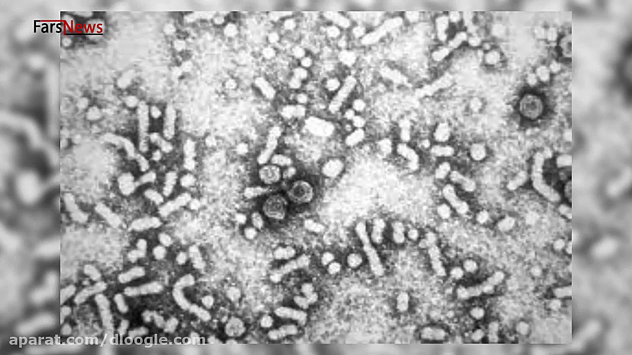 خبر فوری:ویروس جدید در چین (ها...