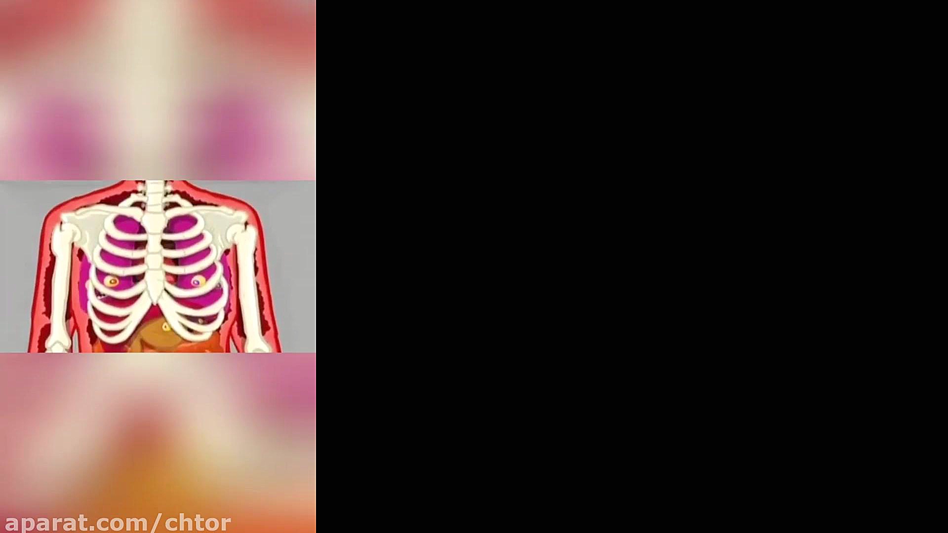 انیمیشن تاثیر گذار